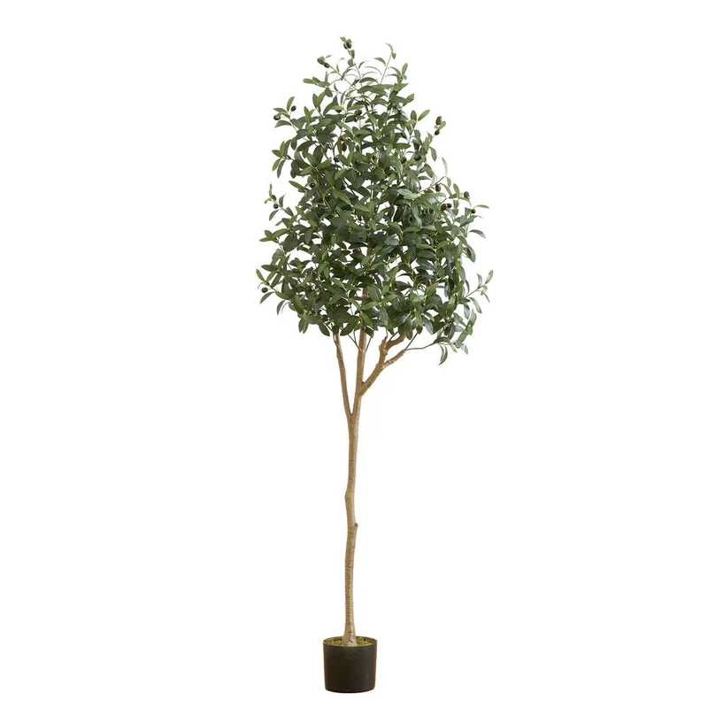 hubert3556115