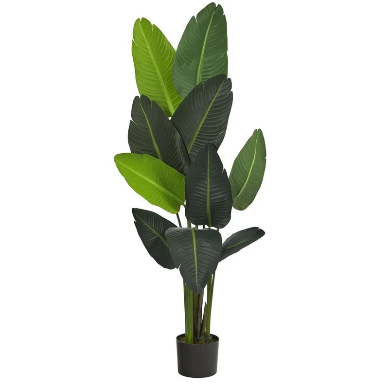 hubert3566215