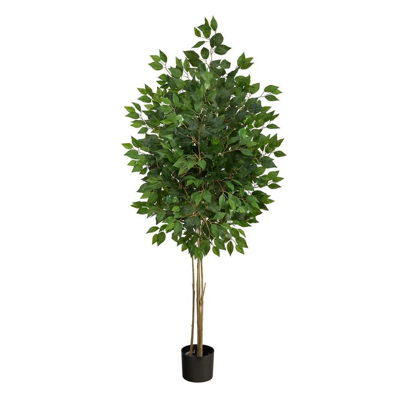 hubert3568829